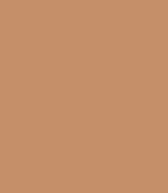 Songteen™ Korean Color-Changing Foundation stick