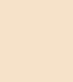 Songteen™ Korean Color-Changing Foundation stick