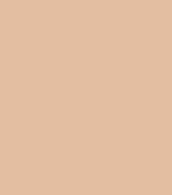 Songteen™ Korean Color-Changing Foundation stick